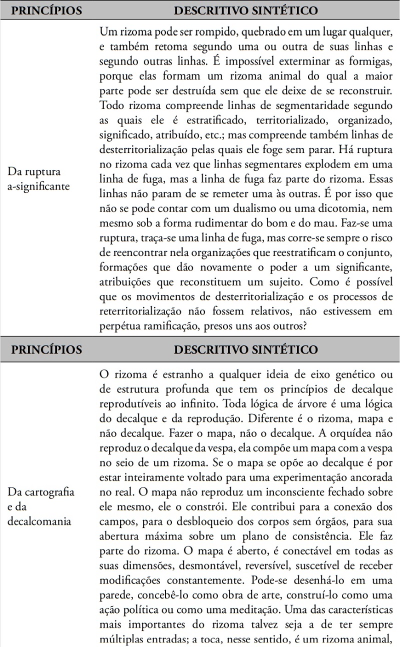 Características aproximativas de um rizoma.