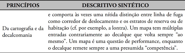 Características aproximativas de um rizoma.