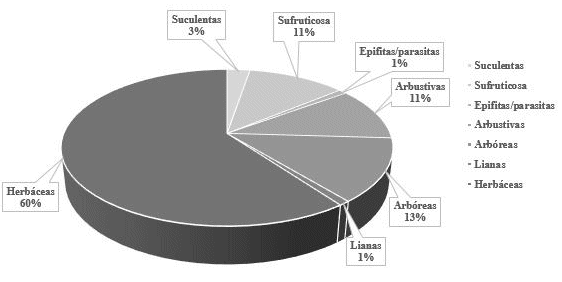 Porcentaje
de especies de flora según el hábito  

de crecimiento de la
división Magnoliophyta en la provincia de Huamanga – Ayacucho