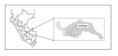 Ubicaci&oacute;n del distrito de San Ram&oacute;n (Departamento de Jun&iacute;n), selva central
del Per&uacute;