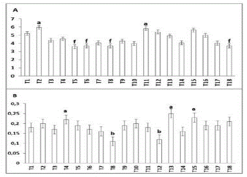 Comparaci&oacute;n de medias (Tukey 95%) del &Iacute;ndice de Robustez (A) e &Iacute;ndice de
Calidad de Dickson (B) en plantas de caf&eacute; ar&aacute;bicas injertados sobre C. canephora