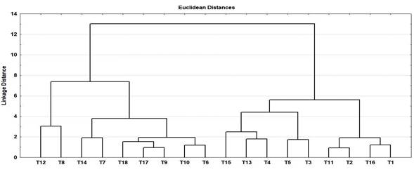 An&aacute;lisis cluster, con el m&eacute;todo Ward, en plantas de
caf&eacute; ar&aacute;bicas injertados sobre C.
canephora