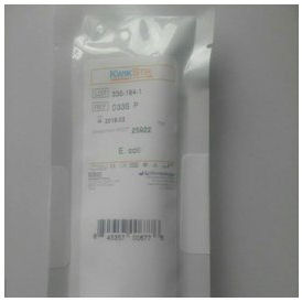Escherichia coli ATCC 25922