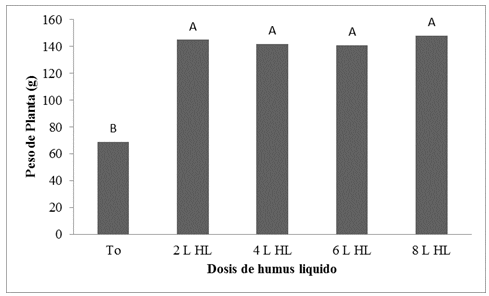 Efecto de diferentes dosis de humus l&iacute;quido
sobre el peso de la planta de lechuga