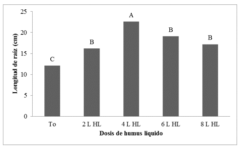 Efecto de dosis de humus l&iacute;quido sobre la
longitud de ra&iacute;z de plantas de lechuga en hidropon&iacute;a