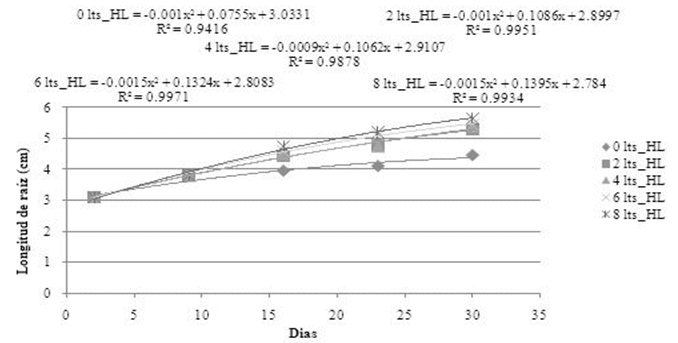 Efecto de los tratamientos en el tiempo
(cada 7dias) sobre la longitud de la ra&iacute;z en plantas de lechuga en  

hidropon&iacute;a