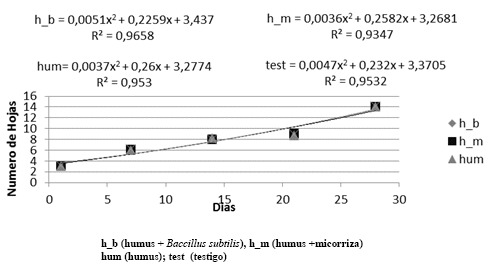 Efecto de los tratamientos a trav&eacute;s del tiempo sobre el n&uacute;mero de hojas de lechuga en hidropon&iacute;a