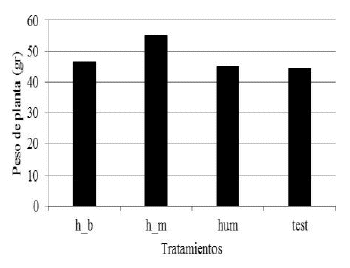 Efecto de los diferentes biofertilizantes sobre
el peso de las plantas de lechuga