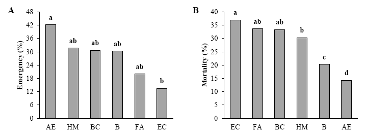 Emergence and mortality of the six forage
species (AE = A. elongatum, HM = H. muticum,  

BC = B. catharticus, B = Bromus sp., FA
= F. arundinacea and EC = E. curvula) with the sowing technique