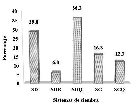 Métodos de siembra utilizado por los
agricultores maiceros