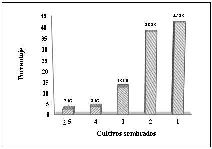 Diversificación de productos para la venta