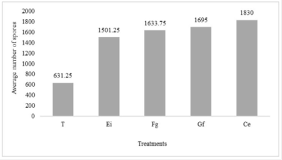 Percentage of infectivity
of four species of arbuscular mycorrhizal fungi in S.
tuberosum L. “potato”