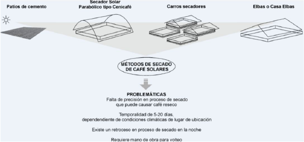 Métodos de secado de café solares,