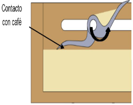 Uñas
de café en funcionamiento.