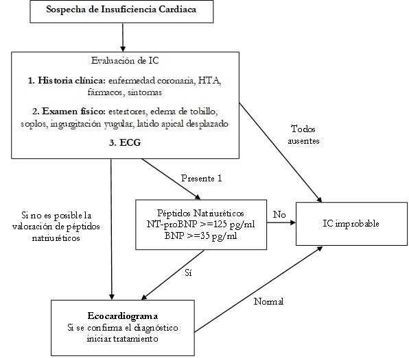 Algoritmo para el diagnóstico de Insuficiencia Cardíaca