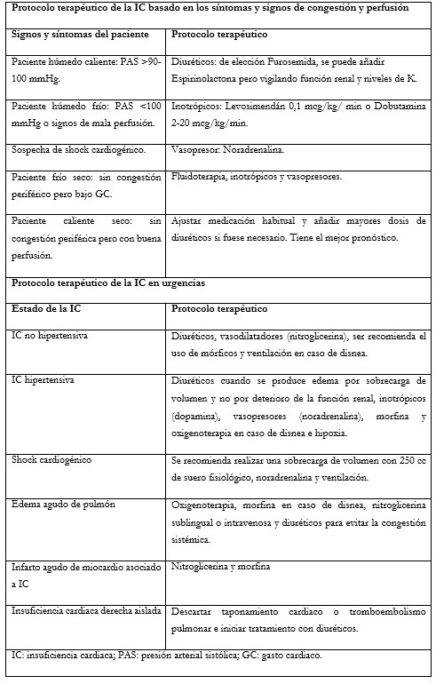 Protocolo terapéutico de la IC según el perfil del paciente
