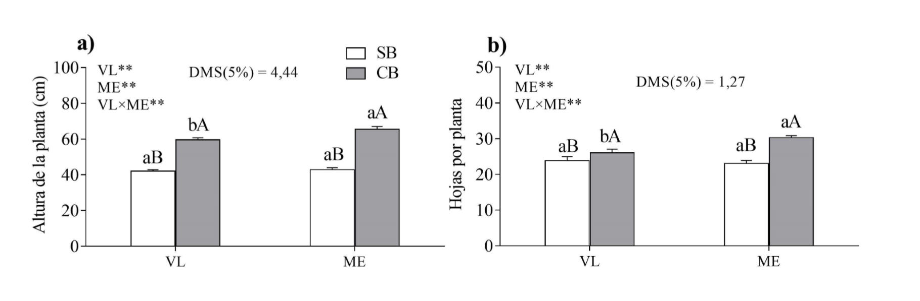 Efecto de los bioproductos
en la altura de la planta (a) y el número de hojas por planta (b) obtenidos en
las plantas de habichuela, en función de la aplicación o no de los bioproductos. 