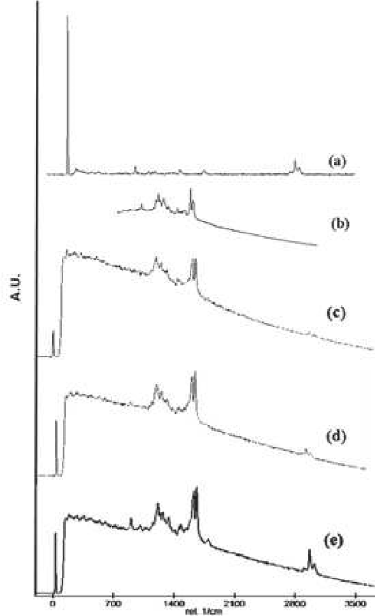 Espectros Raman de (a) PLA, (b) Cur y PLA-Cur con
concentraciones de (c) 5%, (d) 3%, (e) 1%. 