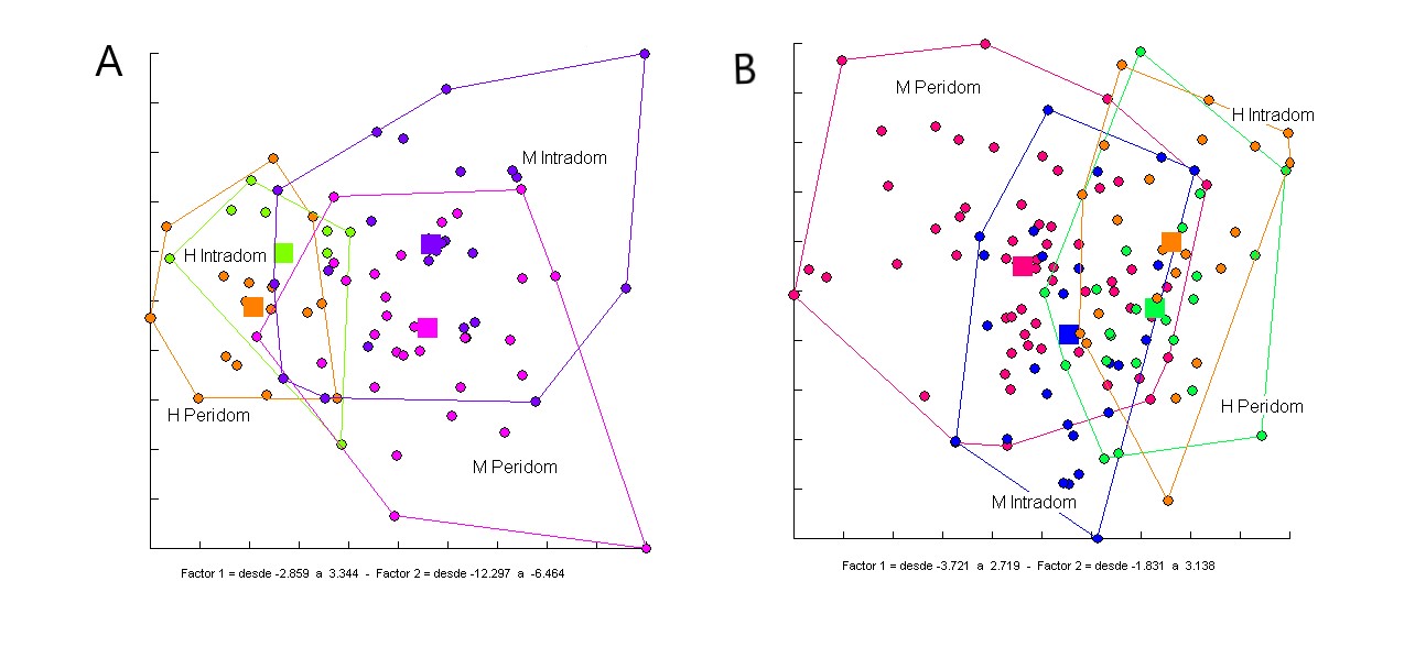 Figura 2: Análisis discriminante con las 4 variables
antenales (A) y con las variables de conformación de la cabeza (B) de T. infestans colectados en pre
tratamiento con insecticidas (2006) en intra y perdidomicilio. Peridom:
Peridomicilio, Intradom:

Intradomicilio, H: Hembras, M: Machos. Fuente: Elaboración
propia.