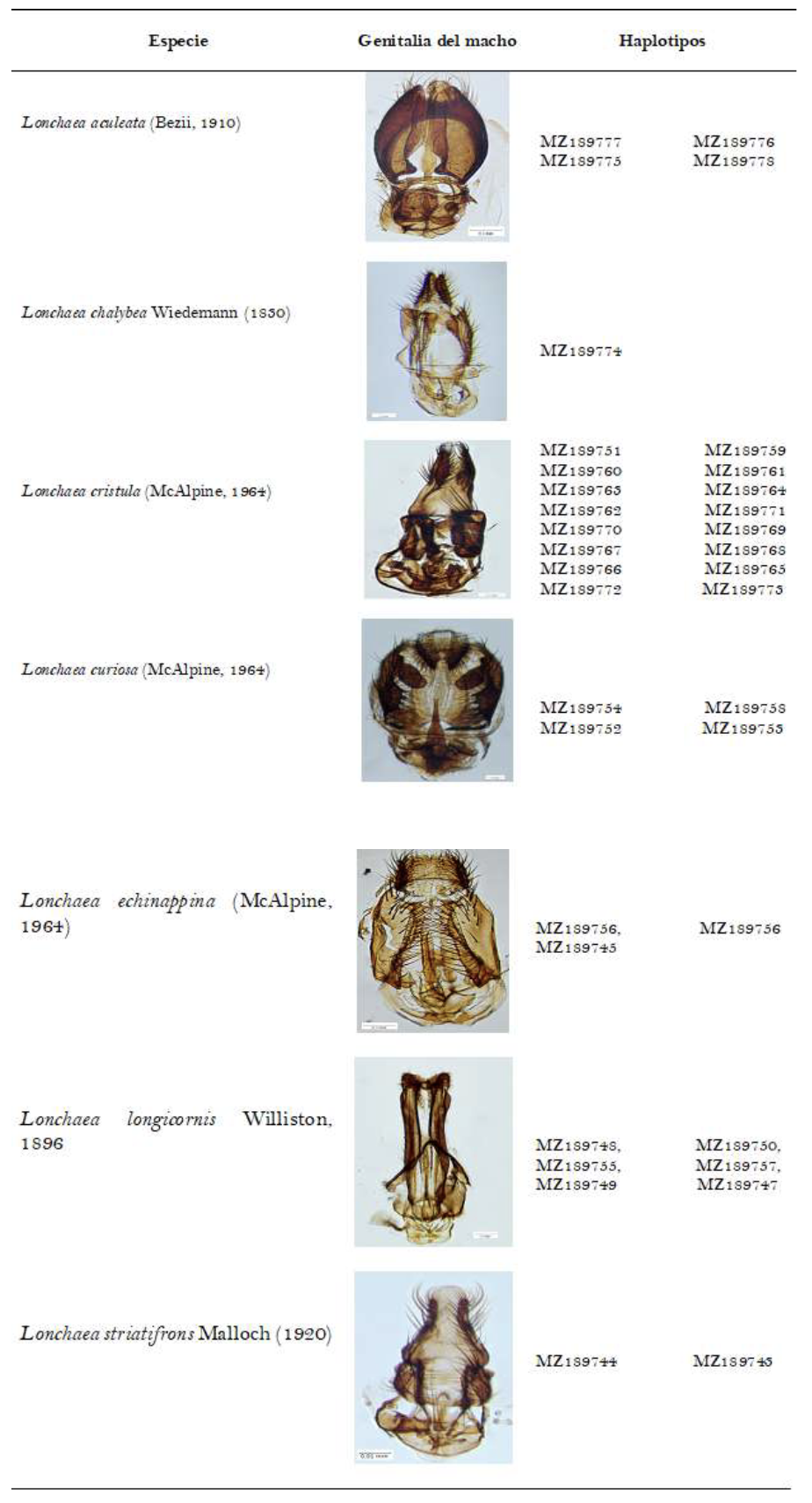 Figura 4: Especies para las cuales se asignaron los haplotipos e information como herramienta para la identification Fuente:

Elaboration propia.