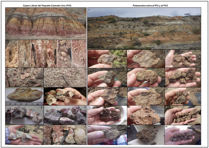 Figura 3: Evidencias de alteración
en capas líticas del PCI (imágenes izquierda) y, de los rasgos pedogenéticos en los paleosuelos PCI y PC2 (imágenes derecha), La Borrega, Tatacoa, Huila, Colombia. En las capas líticas (a) se resaltan materiales fuertemente alterados, sesquióxidos y óxidos de Fe y Mn (a, b, c, d), hematita y goethita (e, f, g, h) en minerales, tejidos, agregados y rellenando grietas. Moteos amarillos, marrones, rojos, granates y negros (e, f, g, h, i, j). En los paleosuelos (1) los rasgos pedogenéticos más evidentes son el color pardo a pardo rojizo oscuro, estructura en Bsa y cuneiforme (4, 7, 10, 13, 16), slickensides (2, 12, 15), manganes (2, 5, 8, 12), argt1anes (6, 8, 9, 12, 14), ferranes (7, 12), carbonatos de calcio (3, 8, 9). Fuente: Elaboración propia.