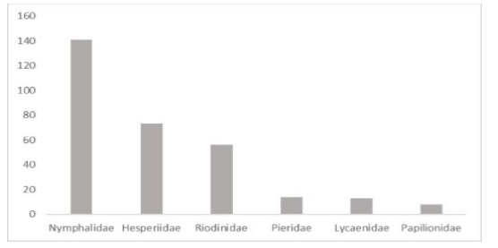 Figura 5:
Representatividad de los géneros de escarabajos coprófagos