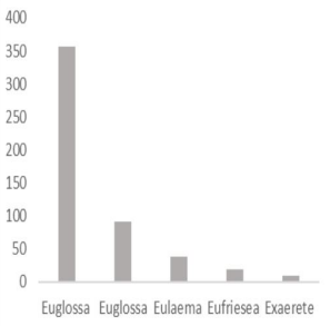 Figura 6a. Abejas euglossinas registradas en el año 2016 en la Vereda Peregrinos Solano Caquetá Colombia