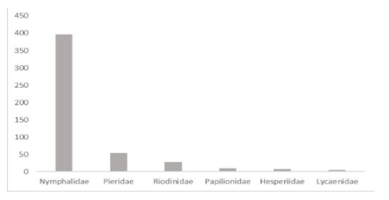 Figura 7:
Representatividad de los géneros de escarabajos coprófagos