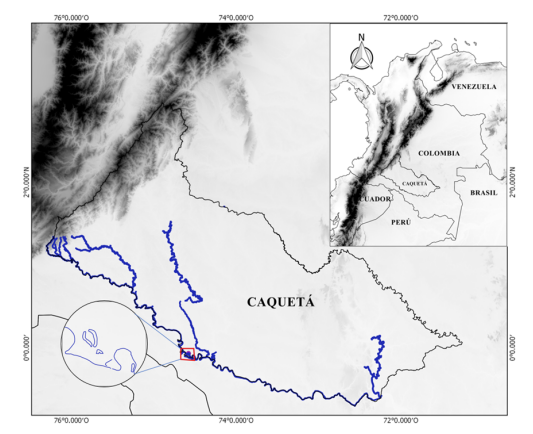 Figura 1:
Mapa del área de estudio. Vereda Peregrinos, Solano-Caquetá, Colombia. 