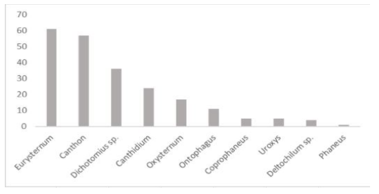 Figura 4:
Representatividad de los géneros de escarabajos coprófagos