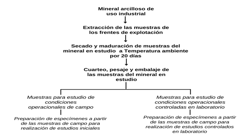 Figura 2 : Protocolo utilizado
para la obtención de las muestras de estudio. Fuente: Elaboración propia.