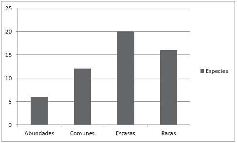 Clasificación de las especies según la abundancia