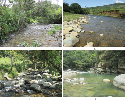 Sitios de muestreo en los cuales se realizó la
recolección de adultos de M. tarsalis en el departamento de Antioquia. San

Carlos
Quebrada Peñoles (a), San Carlos Quebrada La Esperanza (b), San Roque Quebrada
La Chinca (c), Cisneros Quebrada Santa Gertrudis (d).