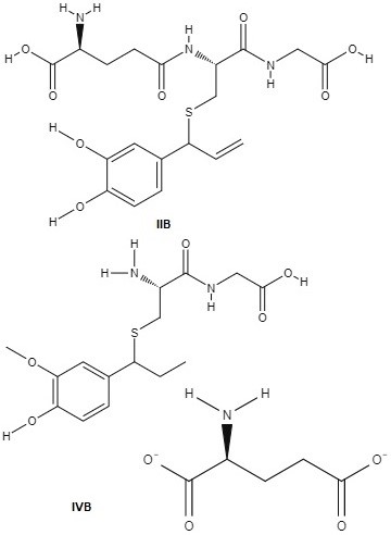 Compuestos derivados del catabolismo de la estructura 2. 