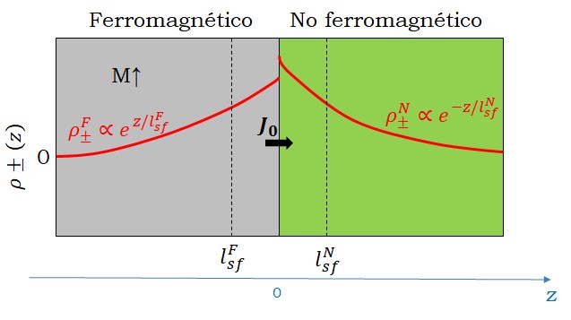 Esquema de la densidad de carga espín-dependiente ρ±(z) en una juntura ferromagnética - no
ferromagnética.
