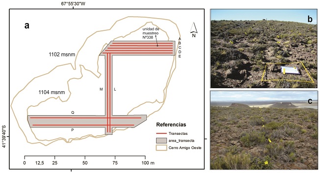 a. Muestreo de la cima del cerro mediante
transectas; b. Vista hacia el norte
de las transectas L y M, en primer plano se observa una unidad de muestreo; c. Transecta Q, vista hacia el este
(cada banderilla corresponde a una unidad de muestreo).