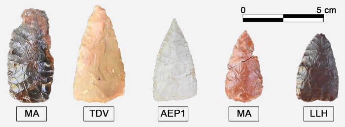 Preformas y puntas de proyectil
     triangulares apedunculadas. Las fracturas de la preforma hallada en Cueva
     Maripe (extremo izquierdo) son resultado de daño térmico.
