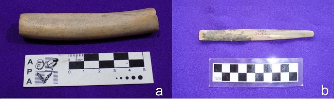 a. Pieza N&deg;
31-293. Museo Etnogr&aacute;fico &ldquo;Juan B. Ambrosetti&rdquo;, Facultad de Filosof&iacute;a y
Letras, Universidad de Buenos Aires, Argentina; b. Pieza N&deg; 31-295.
Instituto Interdisciplinario Tilcara, Facultad de Filosof&iacute;a y Letras,
Universidad de Buenos Aires, Argentina