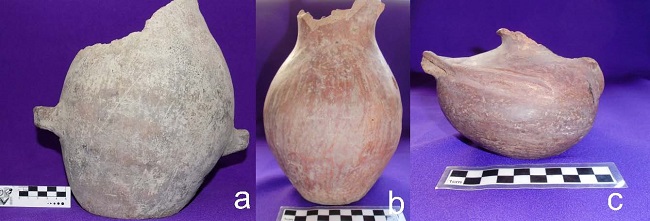  a. Pieza N&deg; 31-282, Museo
Etnogr&aacute;fico &ldquo;Juan B. Ambrosetti&rdquo;, Facultad de Filosof&iacute;a y Letras, Universidad
de Buenos Aires, Argentina; b y c. Piezas N&deg;
31-280 y 31-281, Instituto
Interdisciplinario Tilcara, Facultad de Filosof&iacute;a y Letras, Universidad de
Buenos Aires, Argentina