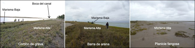 Posiciones fisiográficas de la marisma
asociadas a la planicie de marea del canal Jabalí