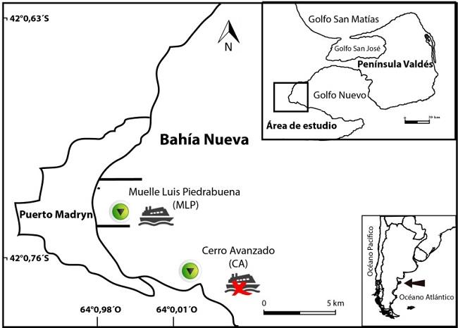 Ubicación de los sitios de
    muestreo en el golfo Nuevo.