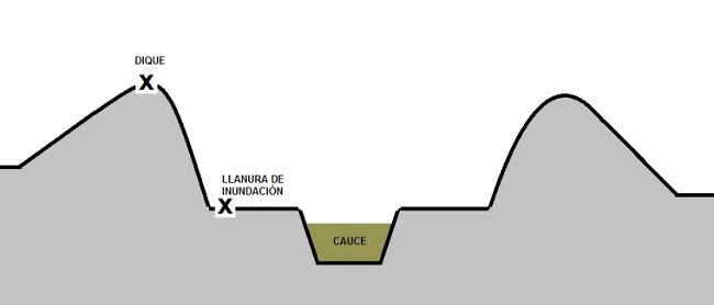 Esquema transversal del
    cauce del arroyo Morón. En la figura se observa la posición de los sitios
    de muestreo (X) con respecto al cauce del rio