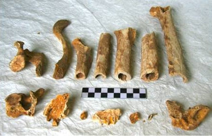 Restos humanos cortados para ser introducidos en la urna