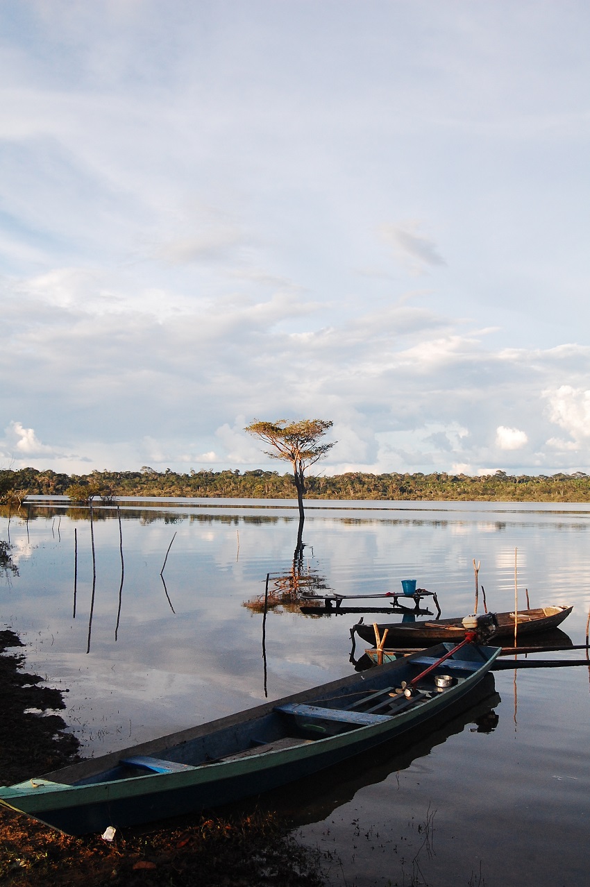 Río
Maués afluente del río Amazonas en la Amazonía central (gentileza Fernando
Ozorio de Almeida).