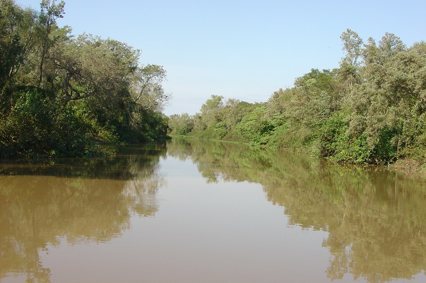  Delta Superior del río Paraná.