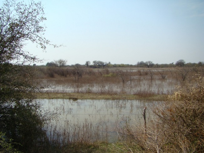 Bañados de Añatuya