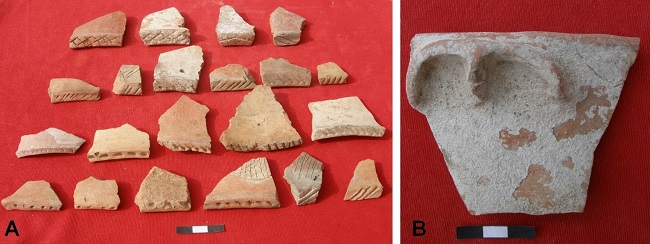 Alfarería procedente del sitio arqueológico Santa Rosa.
A. Fragmentos cerámicos con
incisiones en bordes y cuerpo, análogos a los tipos Bislín Inciso (sensu Bleiler 1948) y Córdoba Inciso (sensu Serrano 1958) y B. Representación del búho por modelado.