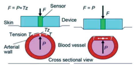 Fig. 12 