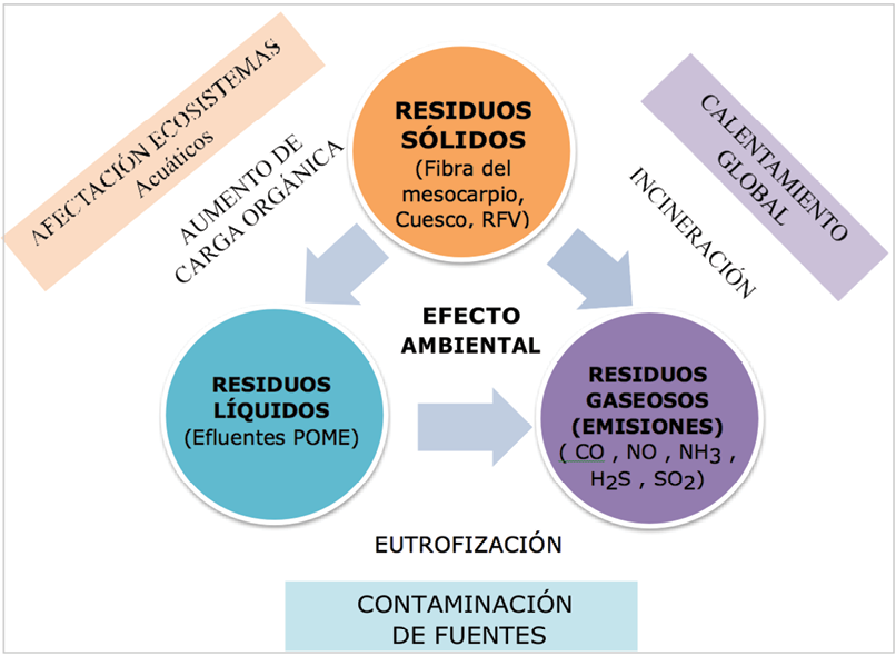 Fig. 3. Residuos de la producción de aceite de palma causales de contaminación ambiental.
			