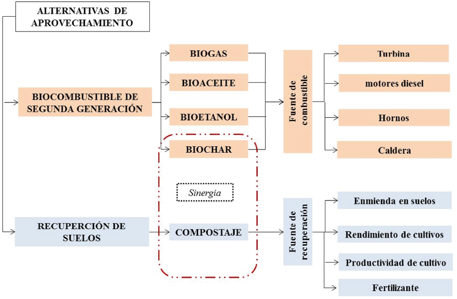 Fig. 4. Alternativas de aprovechamiento de la biomasa residual de la industria palmera.
			